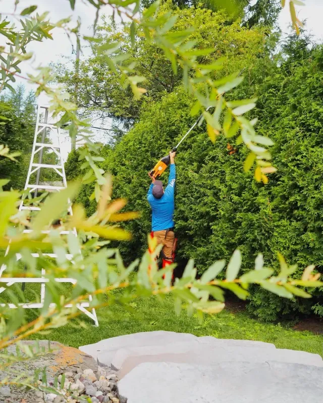 Paysagiste aménageant un jardin
